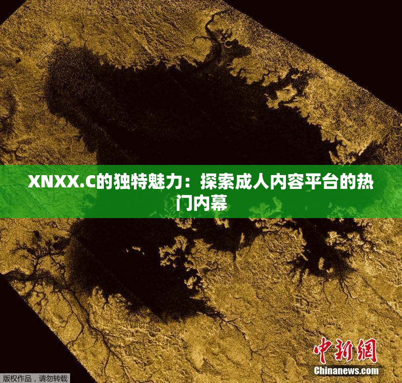 XNXX.C的独特魅力：探索成人内容平台的热门内幕