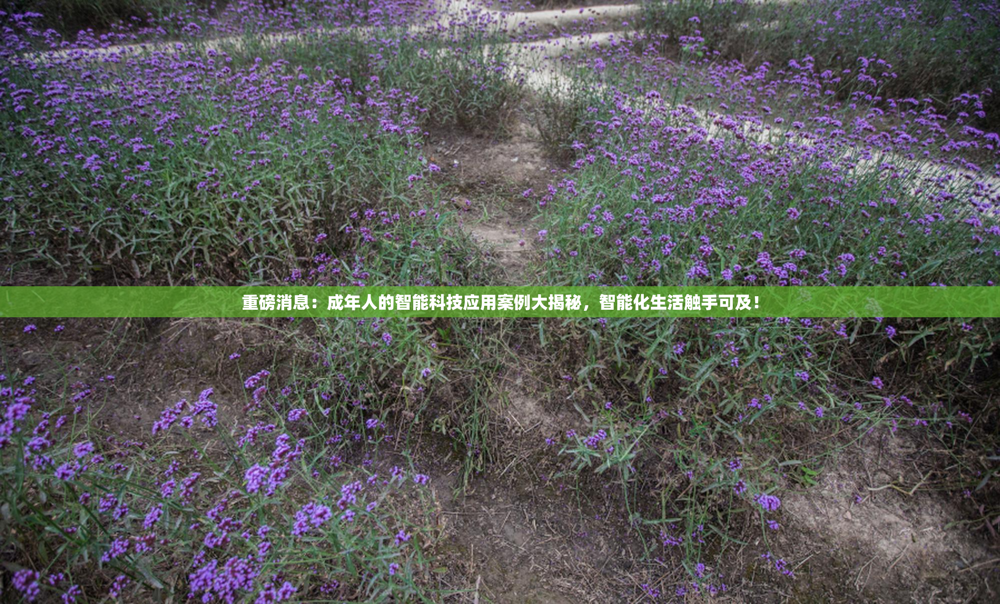 重磅消息：成年人的智能科技应用案例大揭秘，智能化生活触手可及！