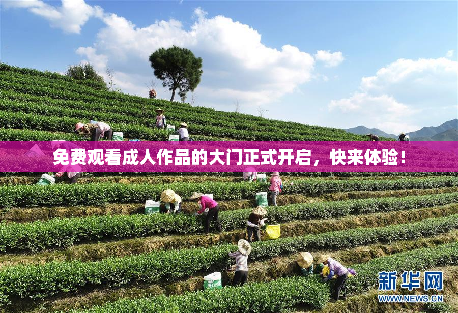 免费观看成人作品的大门正式开启，快来体验！