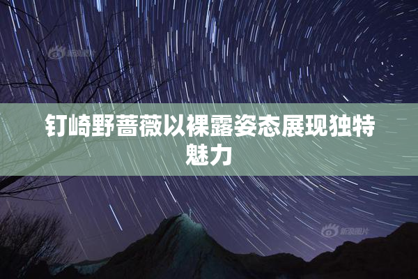 钉崎野蔷薇以裸露姿态展现独特魅力