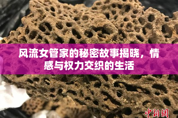 风流女管家的秘密故事揭晓，情感与权力交织的生活