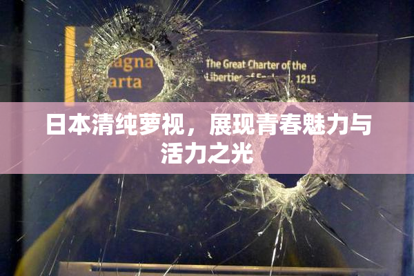 日本清纯萝视，展现青春魅力与活力之光