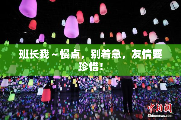 班长我～慢点，别着急，友情要珍惜！