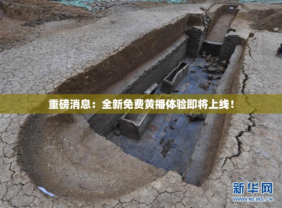 重磅消息：全新免费黄播体验即将上线！
