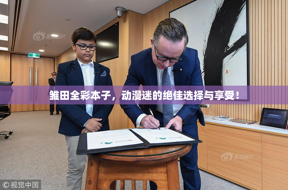 雏田全彩本子，动漫迷的绝佳选择与享受！