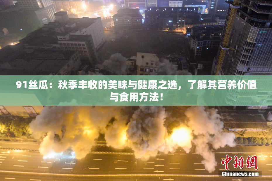 91丝瓜：秋季丰收的美味与健康之选，了解其营养价值与食用方法！