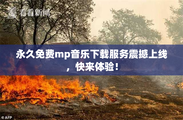 永久免费mp音乐下载服务震撼上线，快来体验！