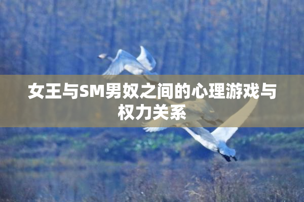 女王与SM男奴之间的心理游戏与权力关系