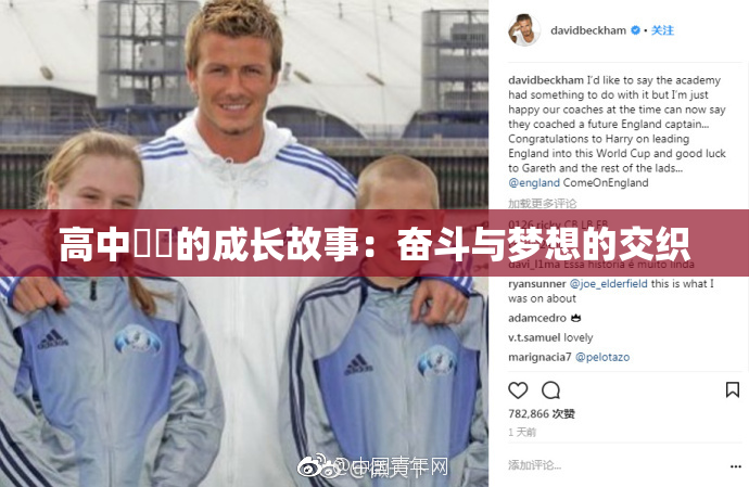 高中妺妺的成长故事：奋斗与梦想的交织