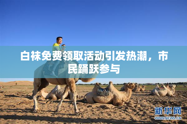 白袜免费领取活动引发热潮，市民踊跃参与