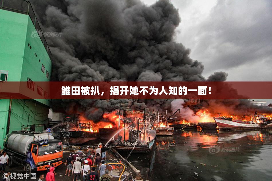 雏田被扒，揭开她不为人知的一面！