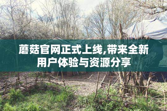 蘑菇官网正式上线,带来全新用户体验与资源分享