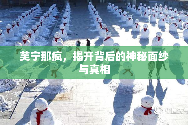 芙宁那疯，揭开背后的神秘面纱与真相