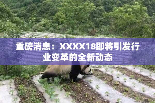 重磅消息：XXXX18即将引发行业变革的全新动态