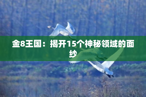 金8王国：揭开15个神秘领域的面纱