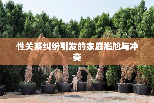 性关系纠纷引发的家庭尴尬与冲突
