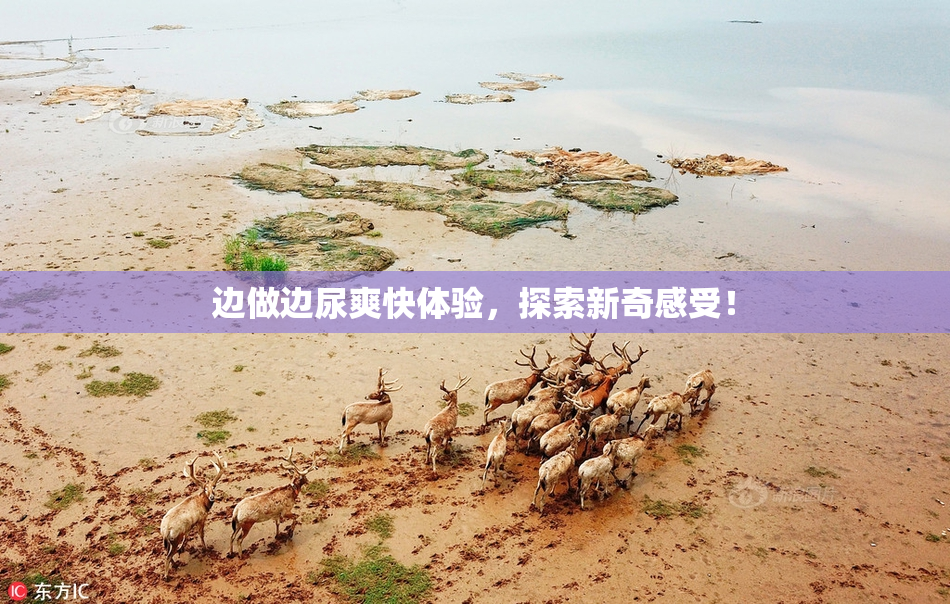 边做边尿爽快体验，探索新奇感受！