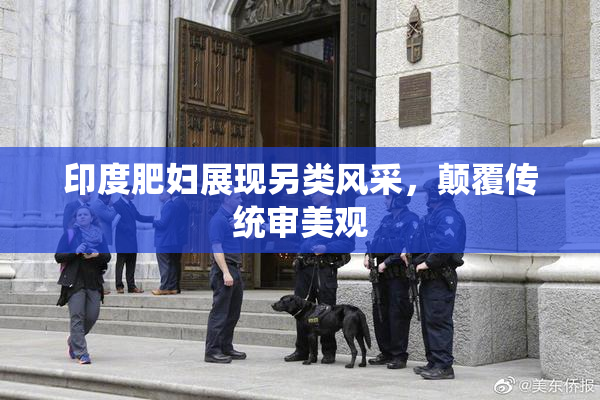 印度肥妇展现另类风采，颠覆传统审美观
