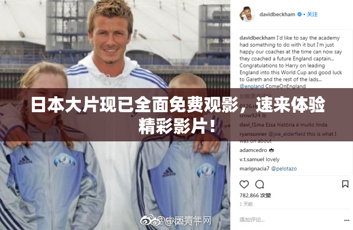 日本大片现已全面免费观影，速来体验精彩影片！