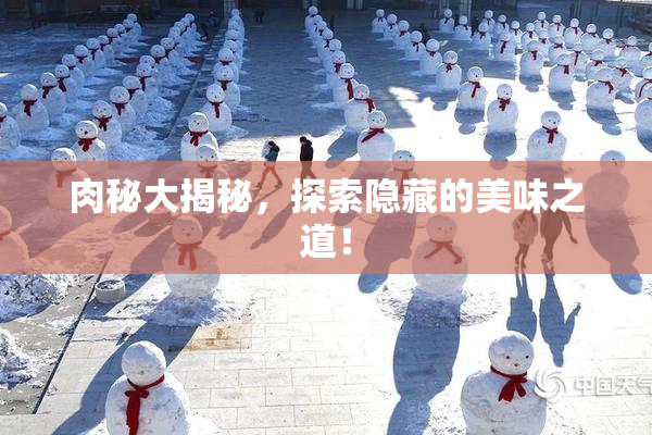 肉秘大揭秘，探索隐藏的美味之道！
