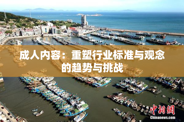 成人内容：重塑行业标准与观念的趋势与挑战