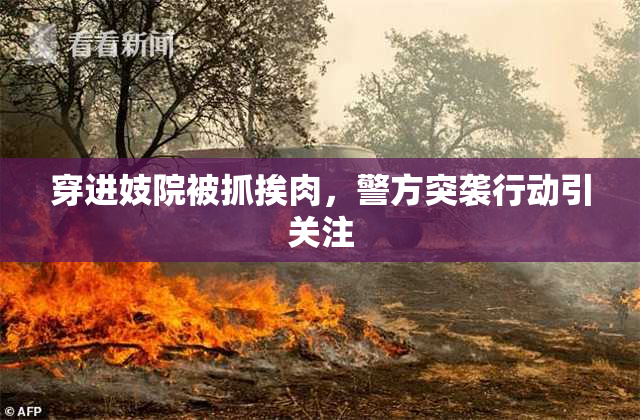 穿进妓院被抓挨肉，警方突袭行动引关注