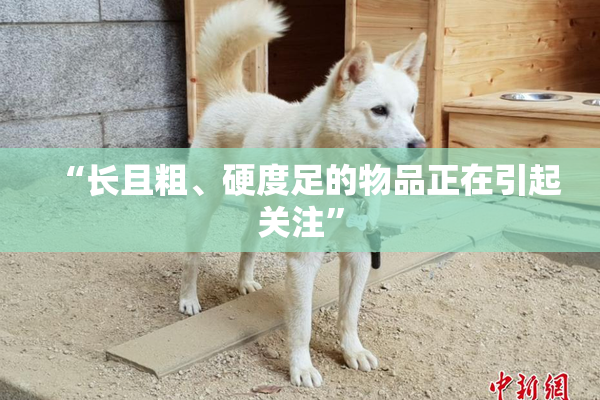 “长且粗、硬度足的物品正在引起关注”