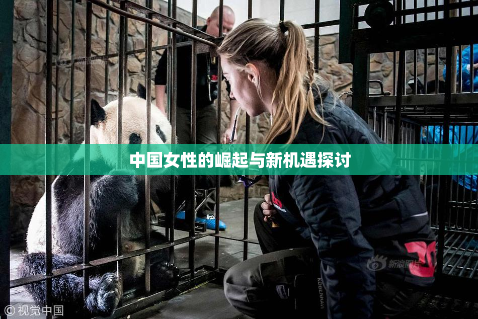 中国女性的崛起与新机遇探讨