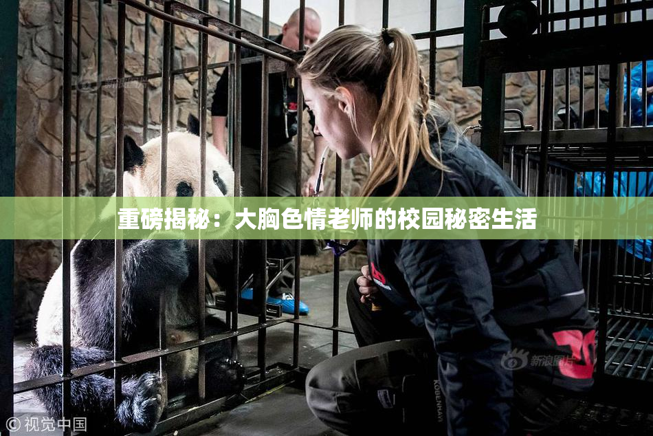 重磅揭秘：大胸色情老师的校园秘密生活