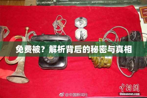 免费被？解析背后的秘密与真相