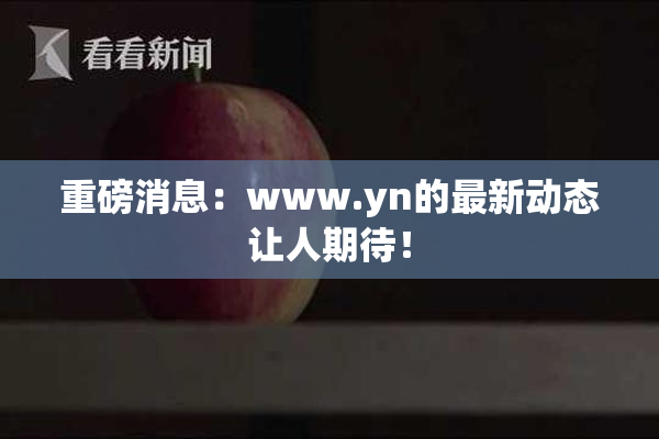 重磅消息：www.yn的最新动态让人期待！
