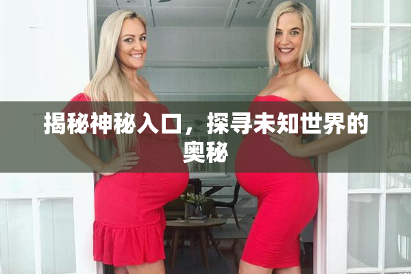 揭秘神秘入口，探寻未知世界的奥秘
