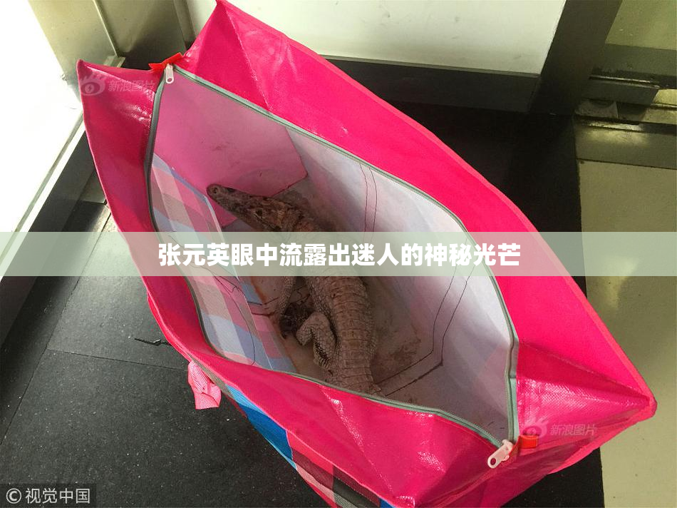 张元英眼中流露出迷人的神秘光芒