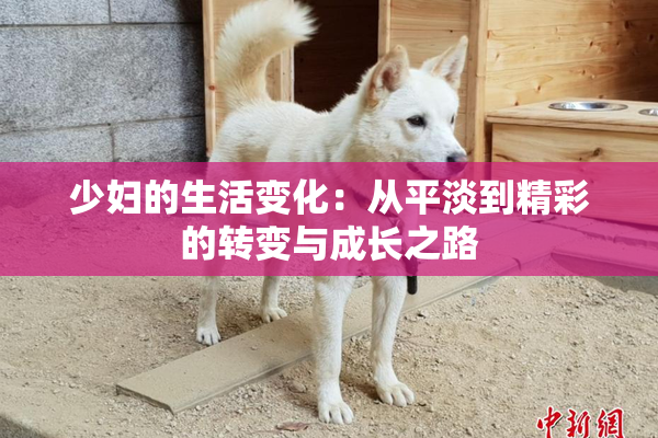 少妇的生活变化：从平淡到精彩的转变与成长之路