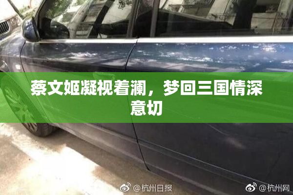 蔡文姬凝视着澜，梦回三国情深意切