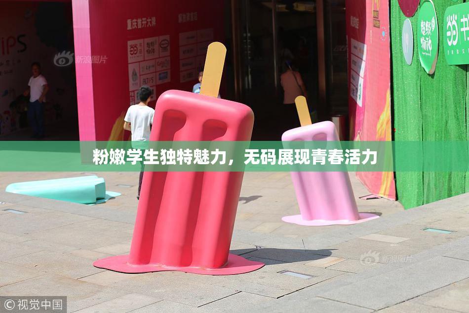 粉嫩学生独特魅力，无码展现青春活力
