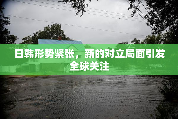 日韩形势紧张，新的对立局面引发全球关注