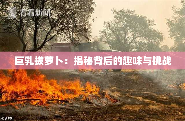 巨乳拔萝卜：揭秘背后的趣味与挑战