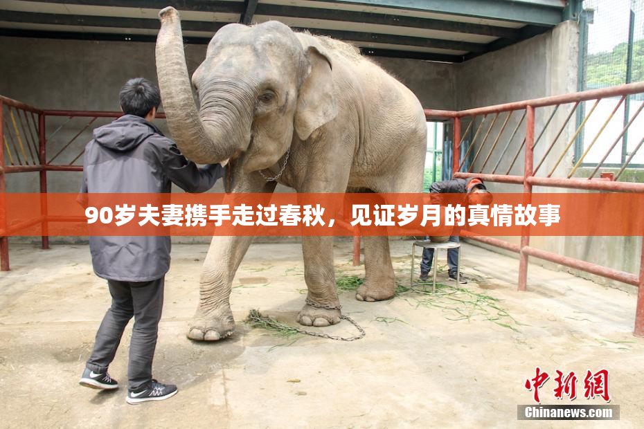 90岁夫妻携手走过春秋，见证岁月的真情故事