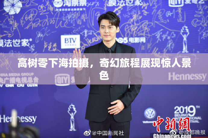 高树零下海拍摄，奇幻旅程展现惊人景色