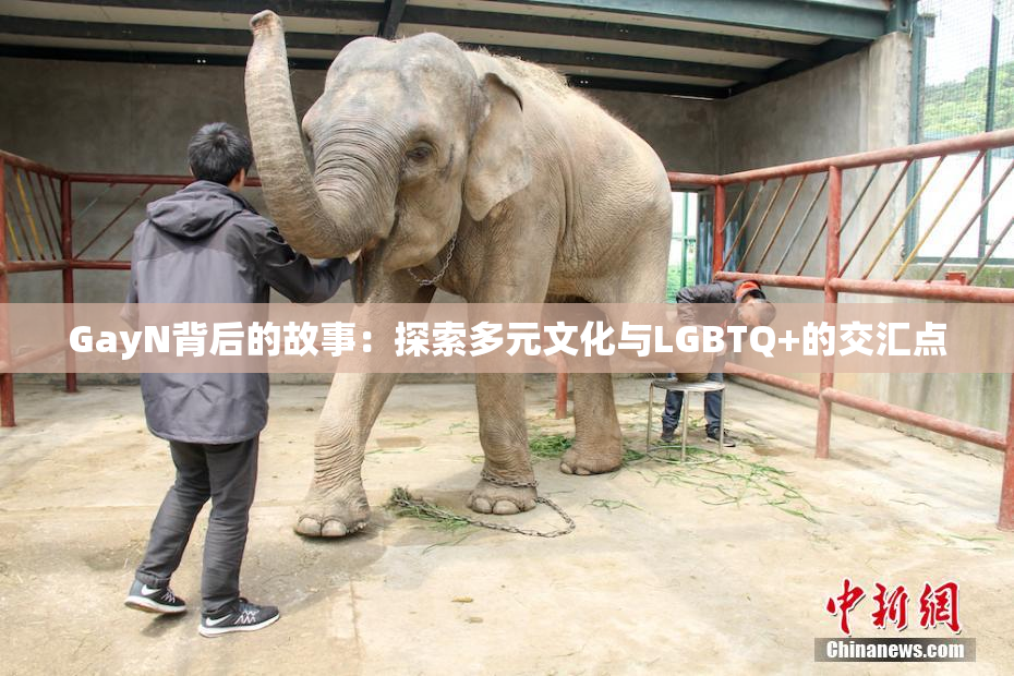 GayN背后的故事：探索多元文化与LGBTQ+的交汇点