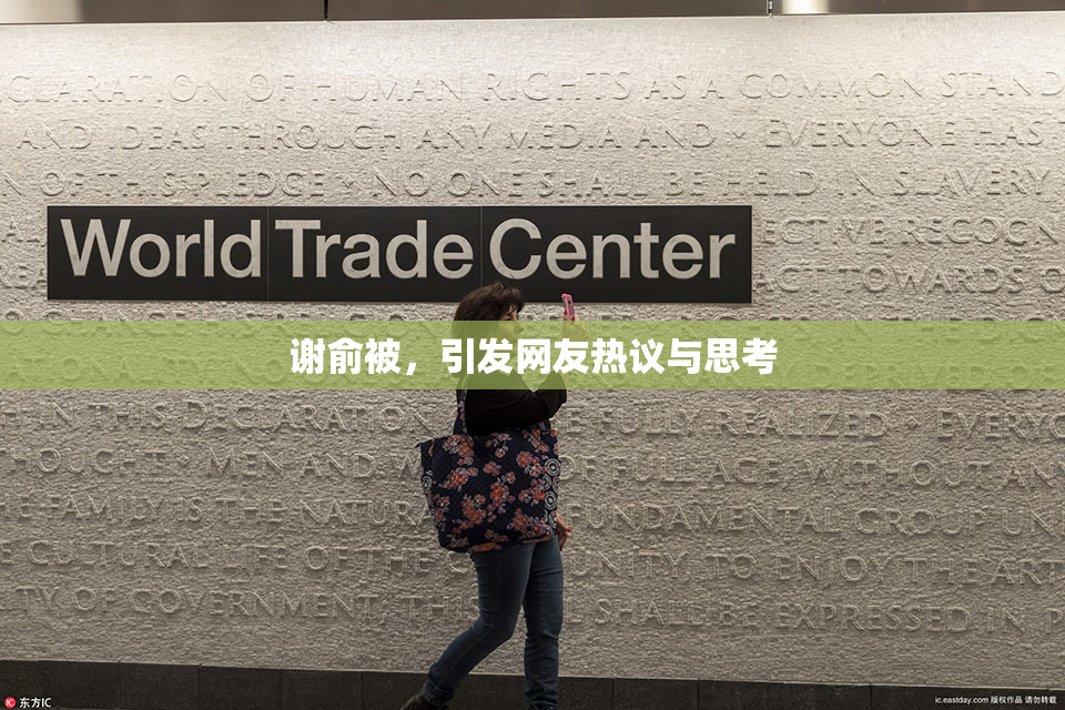 谢俞被，引发网友热议与思考