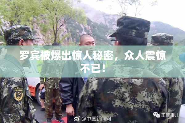 罗宾被爆出惊人秘密，众人震惊不已！