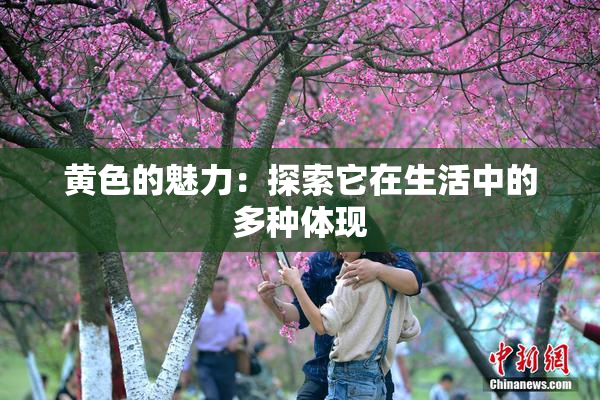 黄色的魅力：探索它在生活中的多种体现