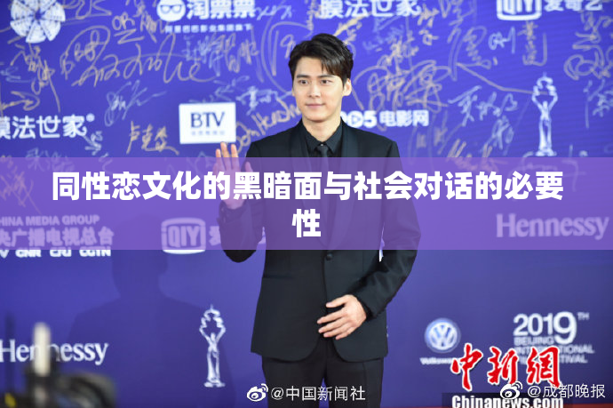 同性恋文化的黑暗面与社会对话的必要性