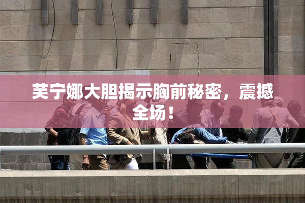 芙宁娜大胆揭示胸前秘密，震撼全场！