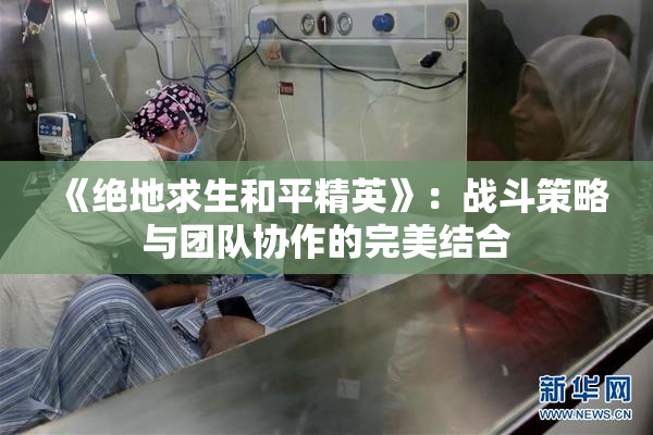 《绝地求生和平精英》：战斗策略与团队协作的完美结合
