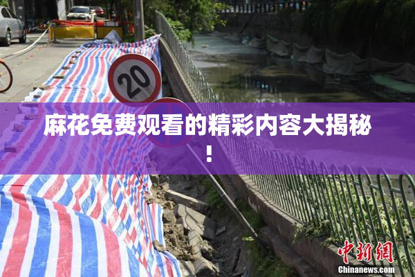 麻花免费观看的精彩内容大揭秘!