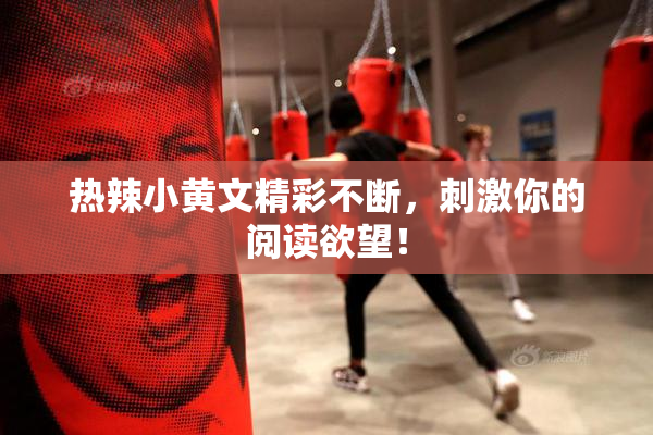 热辣小黄文精彩不断，刺激你的阅读欲望！