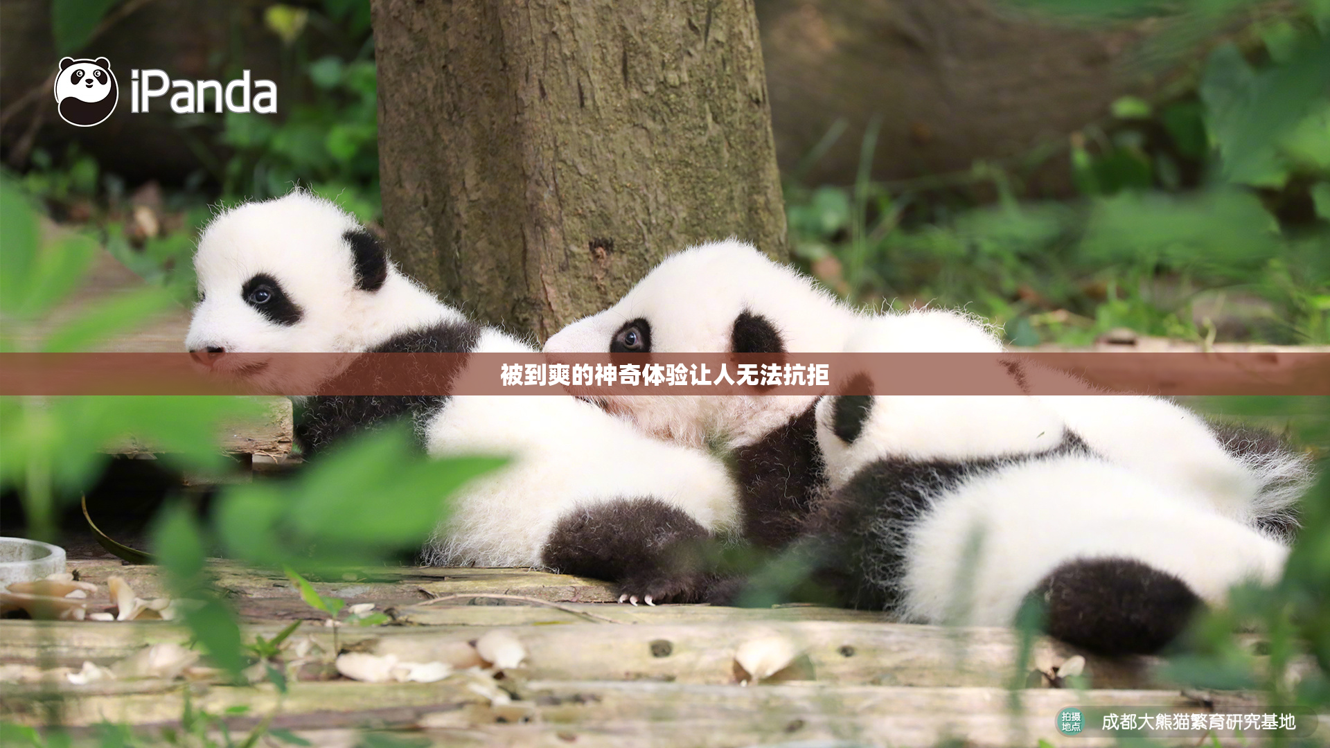 被到爽的神奇体验让人无法抗拒